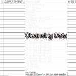 cleansing data